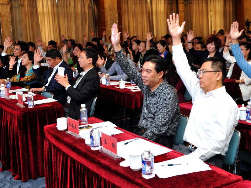 成立大会举手表决